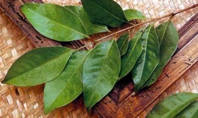 Dau salam