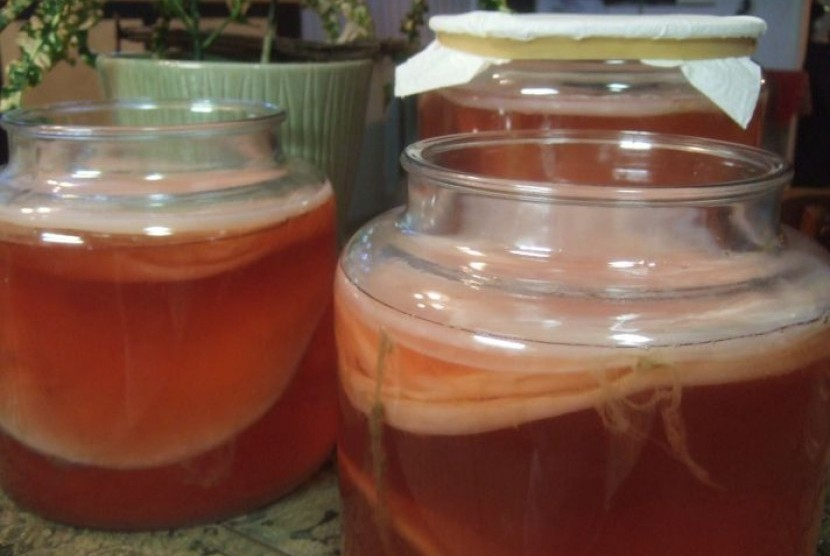 Kombucha Daun Salam